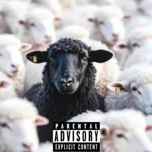 SmoovWill的專輯Black Sheep (Explicit)