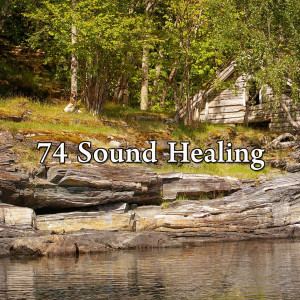 ดาวน์โหลดและฟังเพลง Stress Free พร้อมเนื้อเพลงจาก Meditation Zen Master