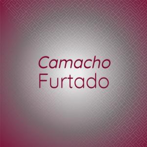 Listen to Aesop Tehuantepec song with lyrics from Dalma Cani