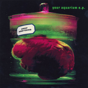 ดาวน์โหลดและฟังเพลง My Aquarium (Second Time Around) พร้อมเนื้อเพลงจาก Drop Nineteens