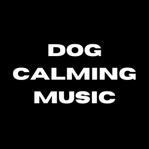 อัลบัม Dog Calming Music ศิลปิน Dog Calming Music
