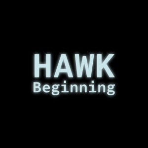 Hawk的專輯Beginning