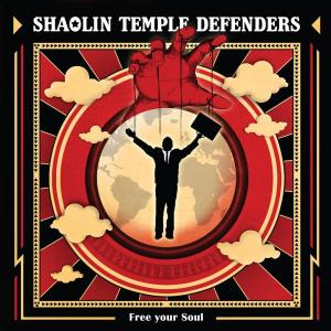 ดาวน์โหลดและฟังเพลง The Reign พร้อมเนื้อเพลงจาก Shaolin Temple Defenders