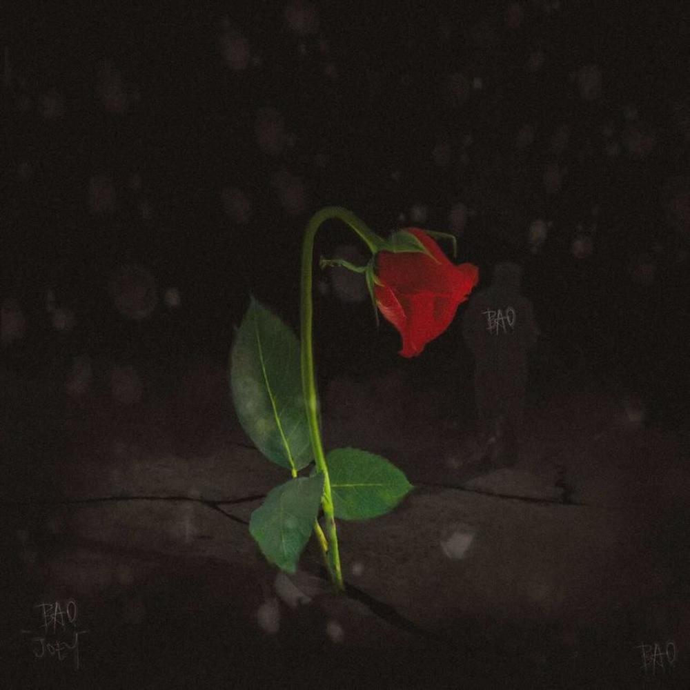 Concrete Rose (Explicit)