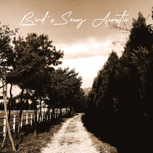 Jane的专辑Bird's Song Acoustic