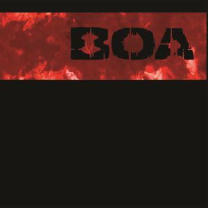 อัลบัม 2 ศิลปิน BoA