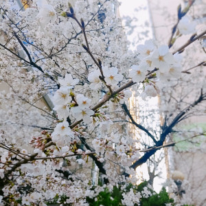Album Leave from 김대환