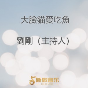 Listen to 幸福计划 song with lyrics from 刘刚