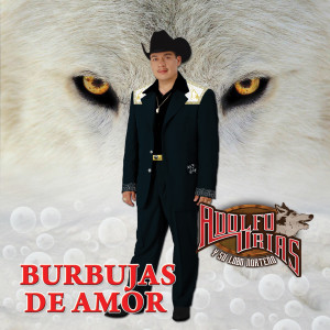 收聽Adolfo Urias的Cuando Mas Las Quieres (Norteño)歌詞歌曲