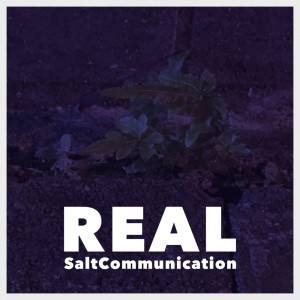 收听SALT COMMUNICATION的REAL歌词歌曲