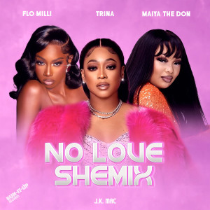 Listen to No Love Shemix song with lyrics from Flo Milli