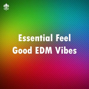 Album Essential Feel Good EDM Vibes from Various