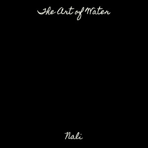 Listen to Reckless, Pt. 11 song with lyrics from Nali