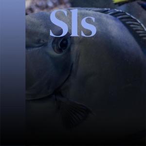 Various的专辑Sls
