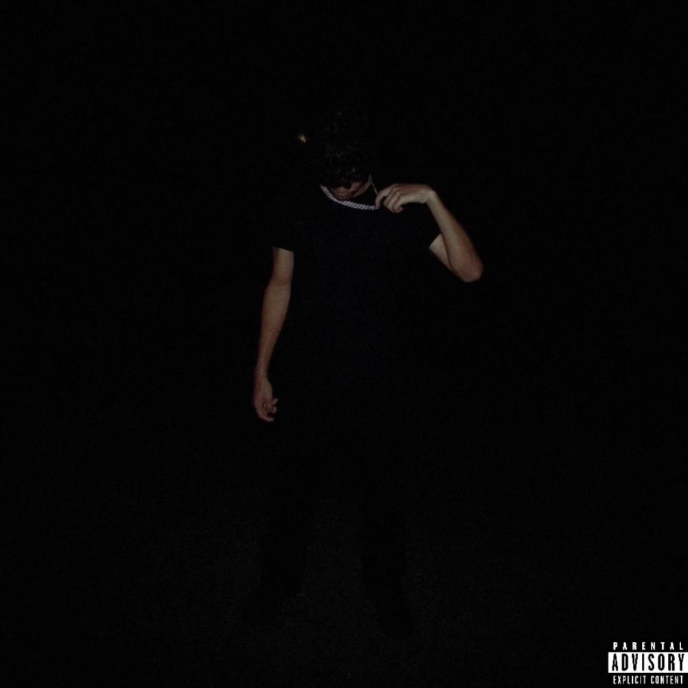 wtf (feat. Luh Preme) (Explicit)