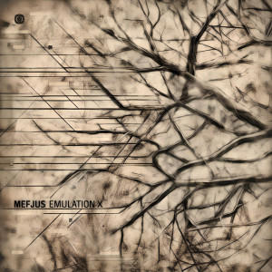 ดาวน์โหลดและฟังเพลง Suicide Bassline (Enei Remix) พร้อมเนื้อเพลงจาก Mefjus