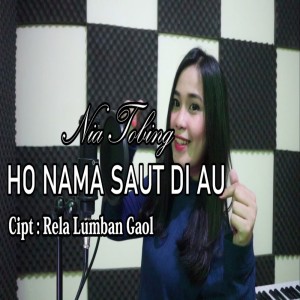 Nia Tobing的專輯Ho Nama Saut Di Au
