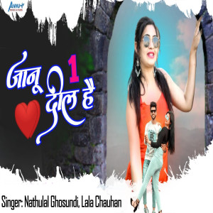 Dengarkan Janu 1 DIL Hai lagu dari Nathulal Ghosundi dengan lirik