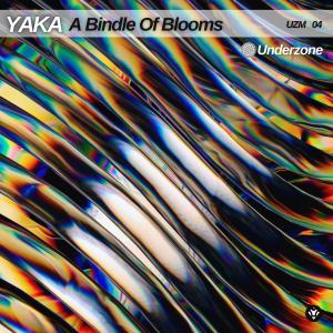 Listen to Scattered Swords song with lyrics from Yaka