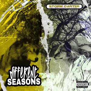 $.的專輯Different Seasons (feat. Foran3x) (Explicit)