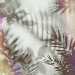 收聽d0bermann的ROKU歌詞歌曲