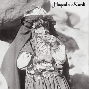 Listen to Mega Mega song with lyrics from Hagoula Kurdi