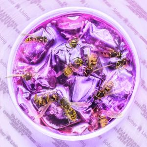 ดาวน์โหลดและฟังเพลง Sober Living (feat. Dream Caster & Joeyy) (Explicit) พร้อมเนื้อเพลงจาก DJ Lucas