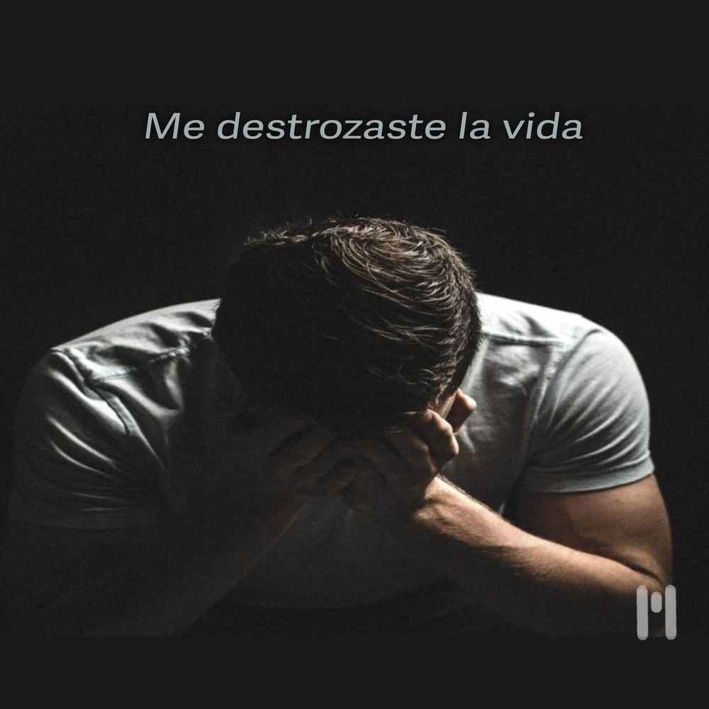 Me destrozaste la vida
