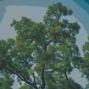 收聽bioneunnal的genggam tanganku歌詞歌曲