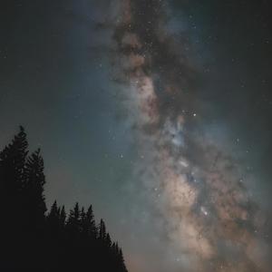 收聽Not Enough Silence的Night歌詞歌曲