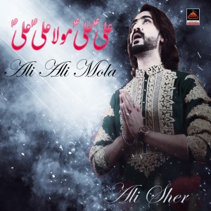 ดาวน์โหลดและฟังเพลง Ali Ali Mola พร้อมเนื้อเพลงจาก Ali Sher