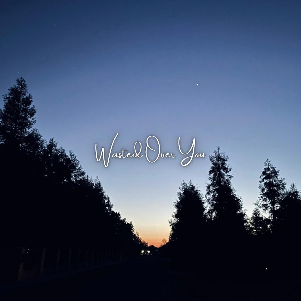 Wasted Over You