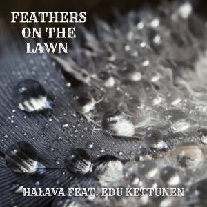 收聽Halava的Feathers on the lawn (feat. Edu Kettunen)歌詞歌曲