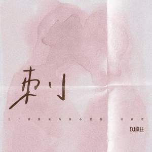 收聽DJ鐵柱的刺 (DJ讓我成爲你心裏的一根刺吧)歌詞歌曲