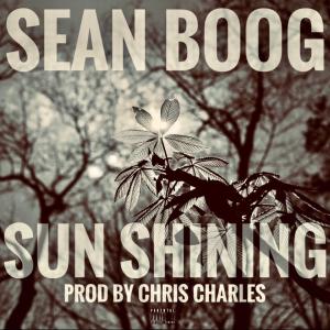Sean Boog的專輯Sun Shining (Explicit)