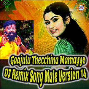 Listen to Gaajulu Thecchina Mamayyo (DJ Remix Song Male Version 14) song with lyrics from Patas Balveer Singh