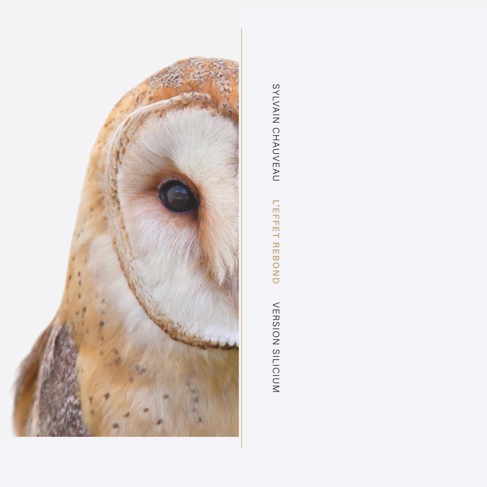LN (feat. Peter Broderick & Machinefabriek)