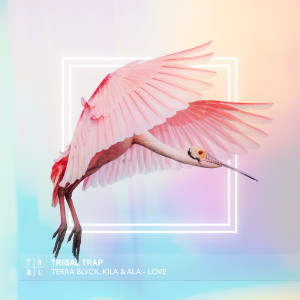 TERRA BLVCK的專輯Love