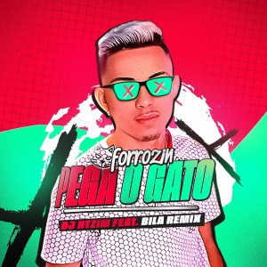 ดาวน์โหลดและฟังเพลง Forrozin Pega o Gato พร้อมเนื้อเพลงจาก Dj Htzim