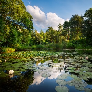 ดาวน์โหลดและฟังเพลง Serenity Beats พร้อมเนื้อเพลงจาก Relaxation Serenity Ensemble