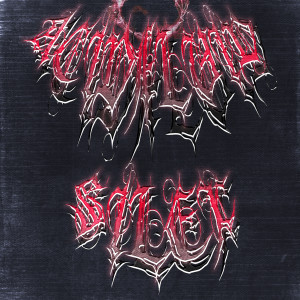 Album Acid Fluid from Silex