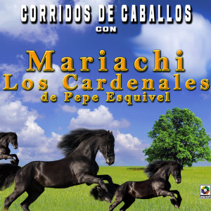 อัลบัม Corridos De Caballos Con Mariachi Los Cardenales De Pepe Esquivel ศิลปิน Mariachi Los Cardenales De Pepe Esquivel