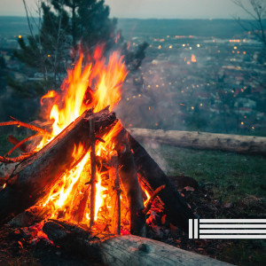Album Calming Fire Sounds from 