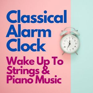 Listen to Sonata for Violin and Guitar No. 2 (1) song with lyrics from Sunshine Classical Orchestra
