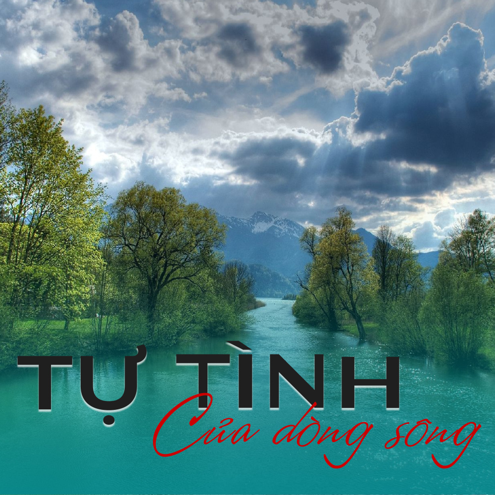 Bông lục bình