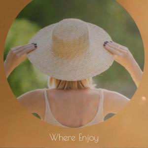 Album Where Enjoy from Various