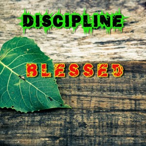 Discipline的專輯Blessed