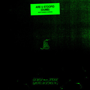 Listen to are you stoopid (dumb) (SMS for Location, Vol. 3) (Explicit) (SMS for Location, Vol. 3|Explicit) song with lyrics from Husser