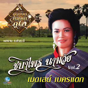 ดาวน์โหลดและฟังเพลง เมดเลย์ (อุ้มลูกตามแฟน, สายแนนแถนปั้น, ใจน้องต้องขอคืน, นอนสอื้นคืนฝนตก, ชายในฝัน) พร้อมเนื้อเพลงจาก ชบาไพร นามวัย