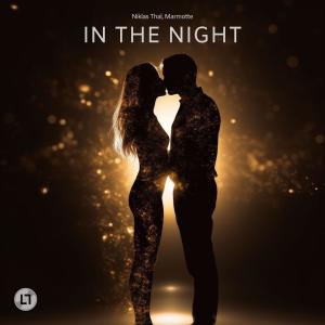 Niklas Thal的專輯In The Night (feat. Marmotte)